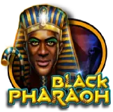 Black Pharaoh на Космолот